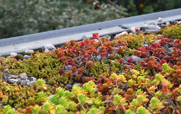 the cost of Cold Hatton Heath green roof installation