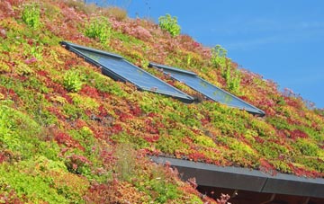 Cold Hatton Heath living roof systems