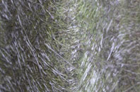 Cold Hatton Heath fibreglass roof work